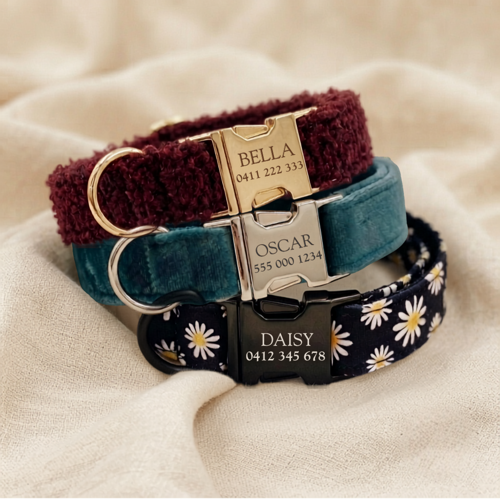 What to Engrave on Your Pet’s Collar