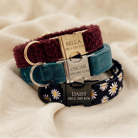 What to Engrave on Your Pet’s Collar