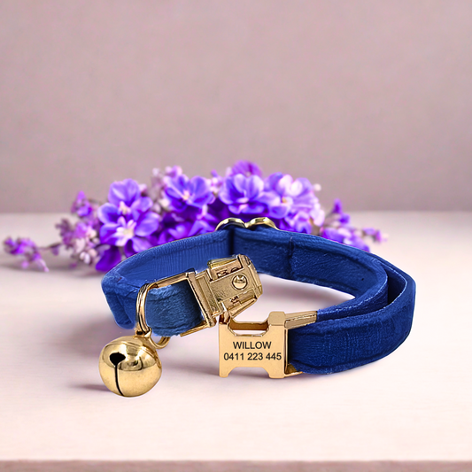 Royal Blue Velvet | Cat Collar | Personalised