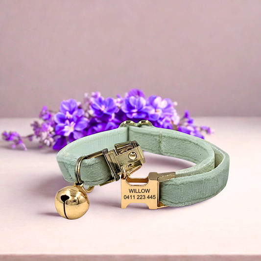 Sage Green Velvet | Cat Collar | Personalised
