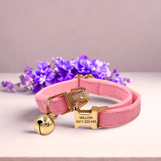 Baby Pink Velvet | Cat Collar | Personalised