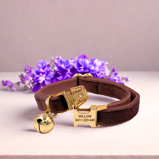 Dark Brown Velvet | Cat Collar | Personalised