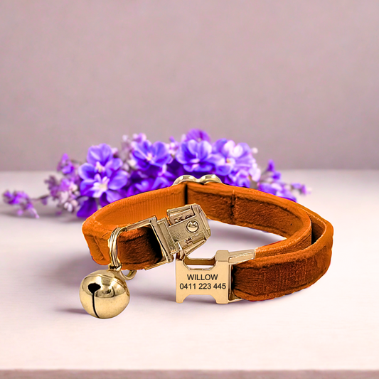 Light Brown Velvet | Cat Collar | Personalised