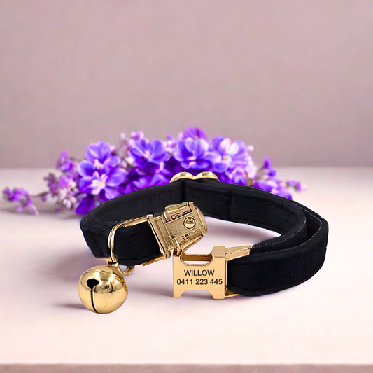 Black Velvet | Cat Collar | Personalised