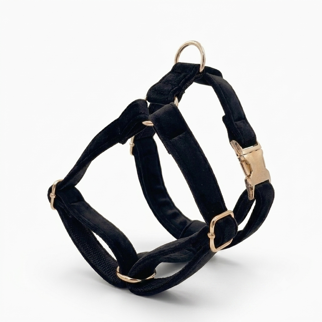 Black Velvet Dog Harness | Customisable