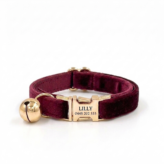 Burgundy Velvet Cat Collar | Personalised
