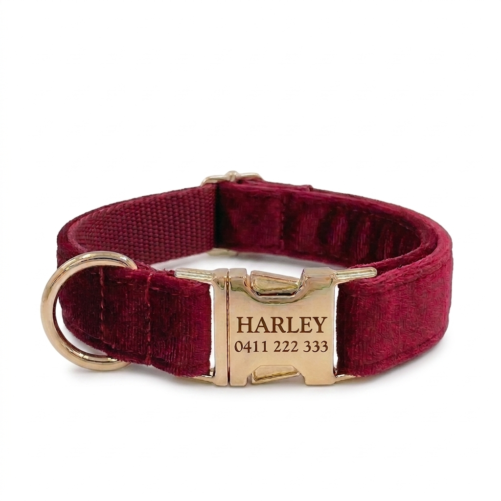 Burgundy Velvet Dog Collar | Personalised