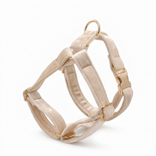 Cream Velvet Dog Harness | Customisable