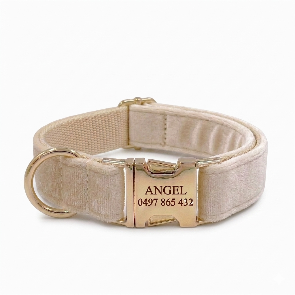 Cream Velvet Dog Collar | Personalised