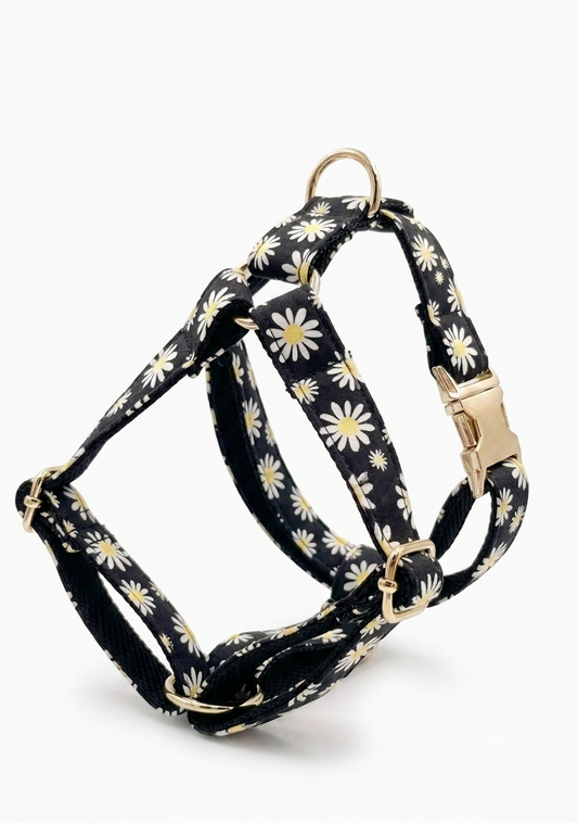 Daisy Dog Harness | Customisable