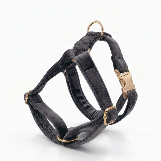 Dark Grey Velvet Dog Harness | Customisable