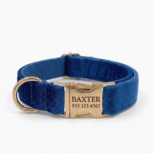 Dark Blue Velvet Dog Collar | Personalised