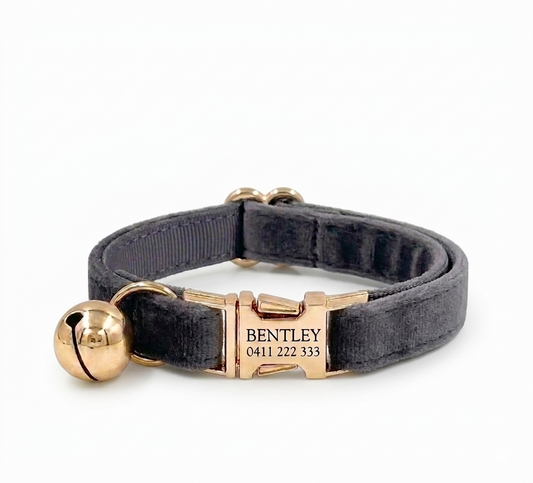 Dark Grey Velvet Cat Collar | Personalised
