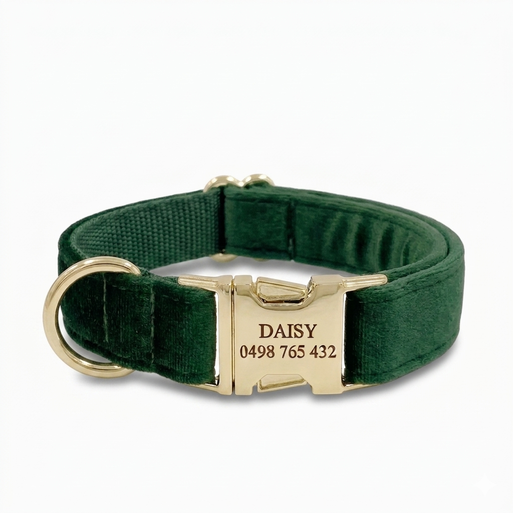 Forest Velvet Dog Collar | Personalised