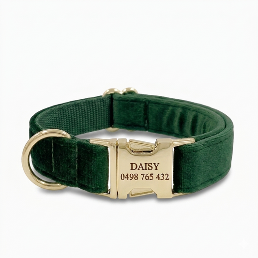 Forest Velvet Dog Collar | Personalised