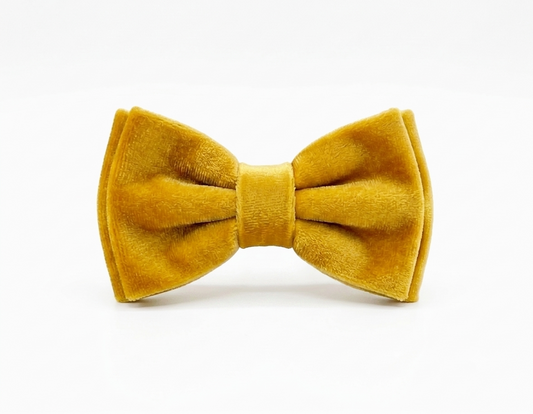 Lemon Velvet Bow Tie