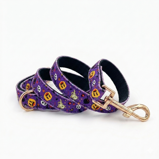 Mystery Night Dog Leash | Customisable