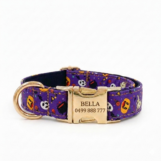 Mystery Night Dog Collar | Personalised