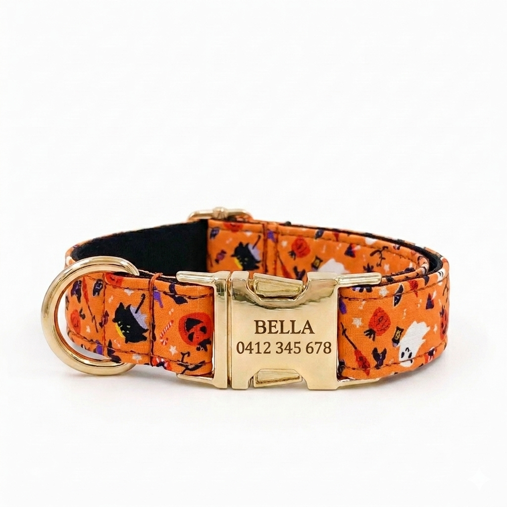 Ghost Pumpkin Dog Collar | Personalised