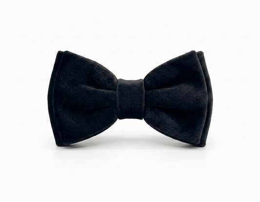 Black Velvet Bow Tie