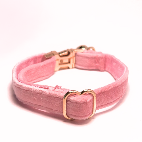 Personalised velvet cat collar - pink colour with a gold buckle and bell. Add personalised engraving on the buckle.