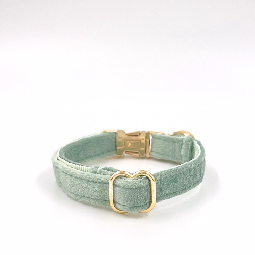 Personalised velvet cat collar - sage green colour with a gold buckle and bell. Add personalised engraving on the buckle.