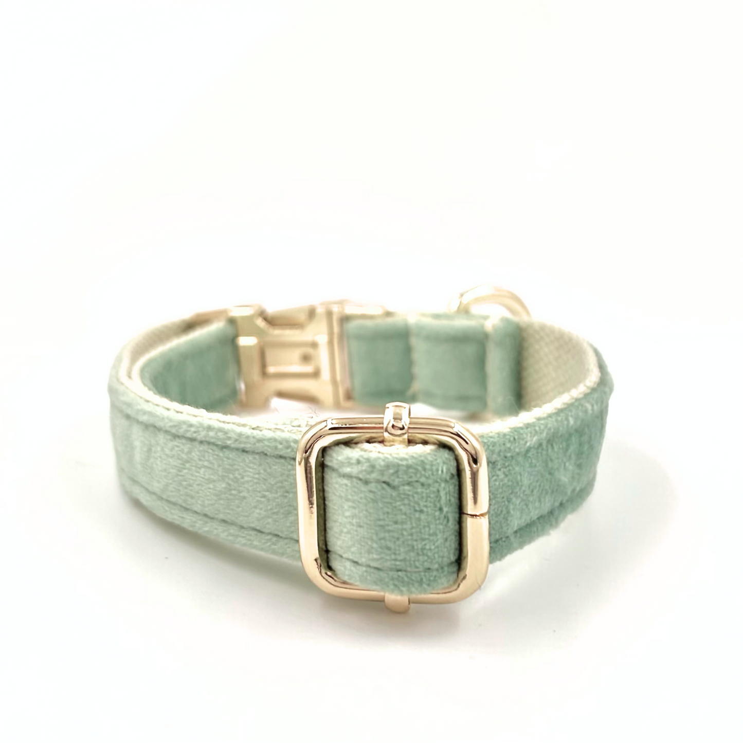 Dog Velvet Collar - Sage Green