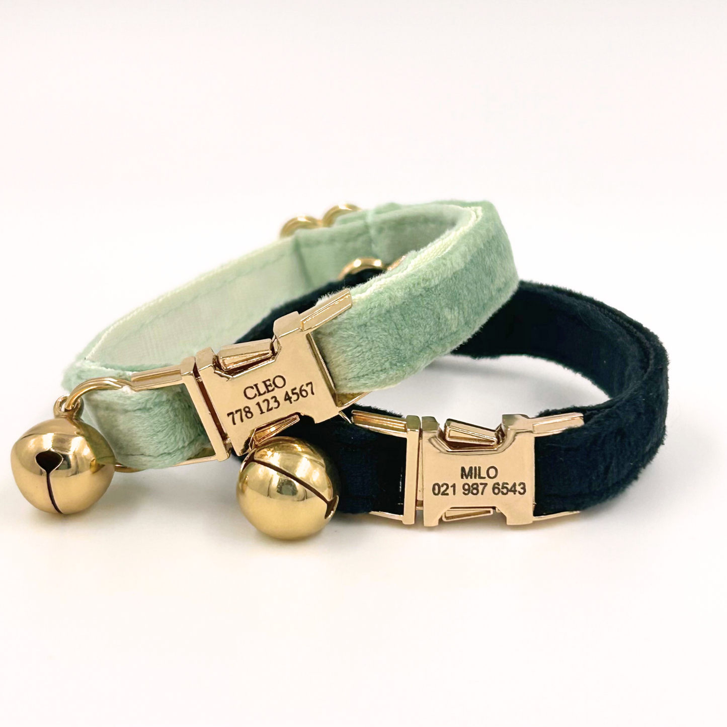 Personalised velvet cat collar - black colour with a gold buckle and bell. Add personalised engraving on the buckle.