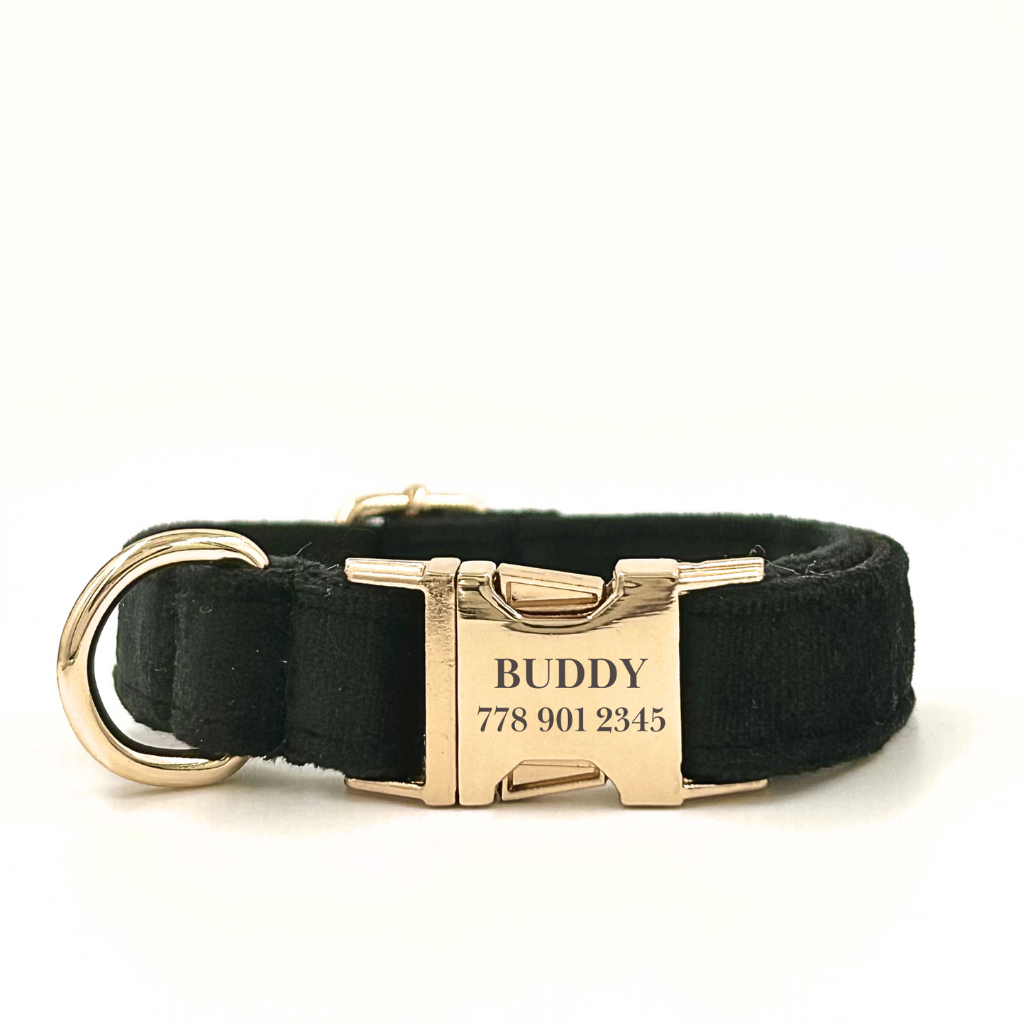 Personalised velvet dog collar - black colour with a gold buckle and D-ring. Add personalised engraving on the buckle