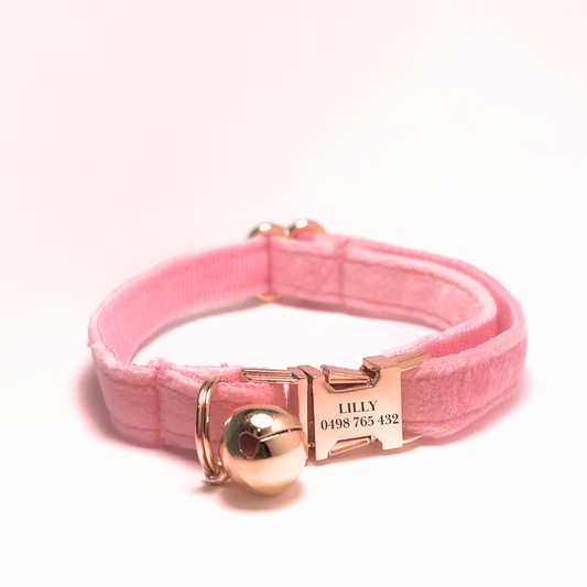 Personalised velvet cat collar - pink colour with a gold buckle and bell. Add personalised engraving on the buckle.