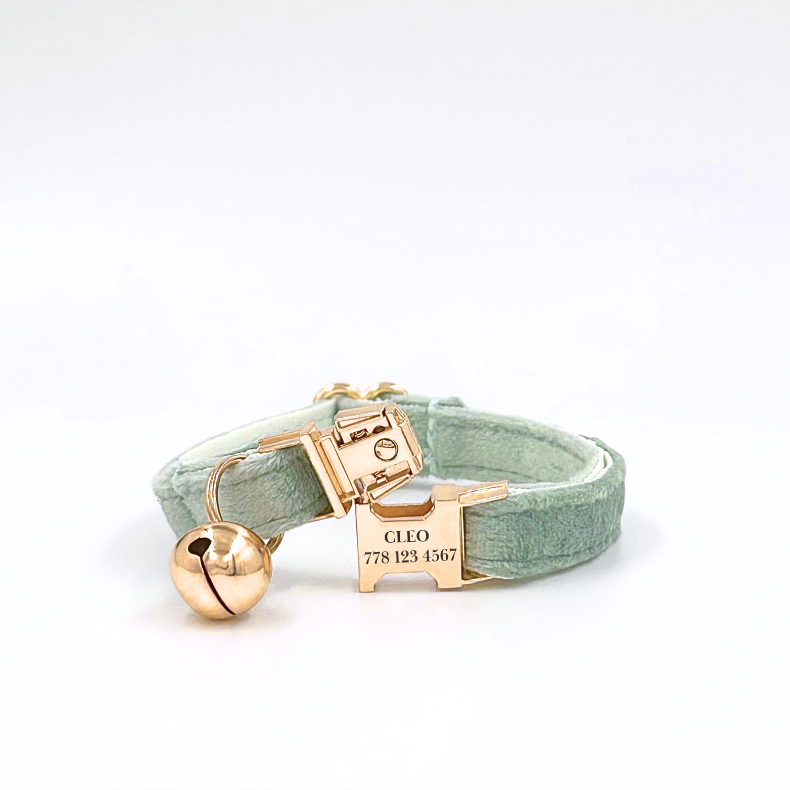 Personalised velvet cat collar - sage green colour with a gold buckle and bell. Add personalised engraving on the buckle.