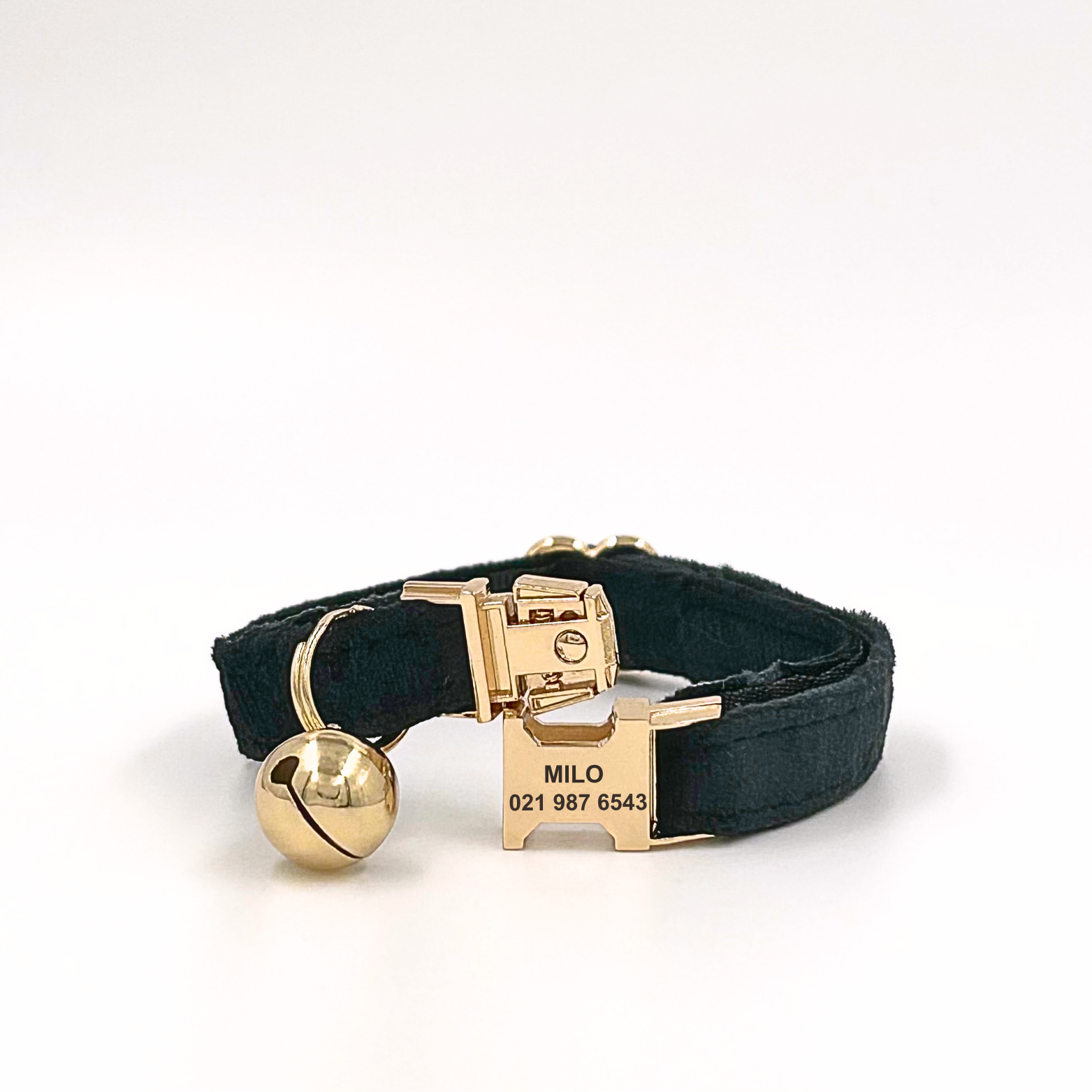 Personalised velvet cat collar - black colour with a gold buckle and bell. Add personalised engraving on the buckle.