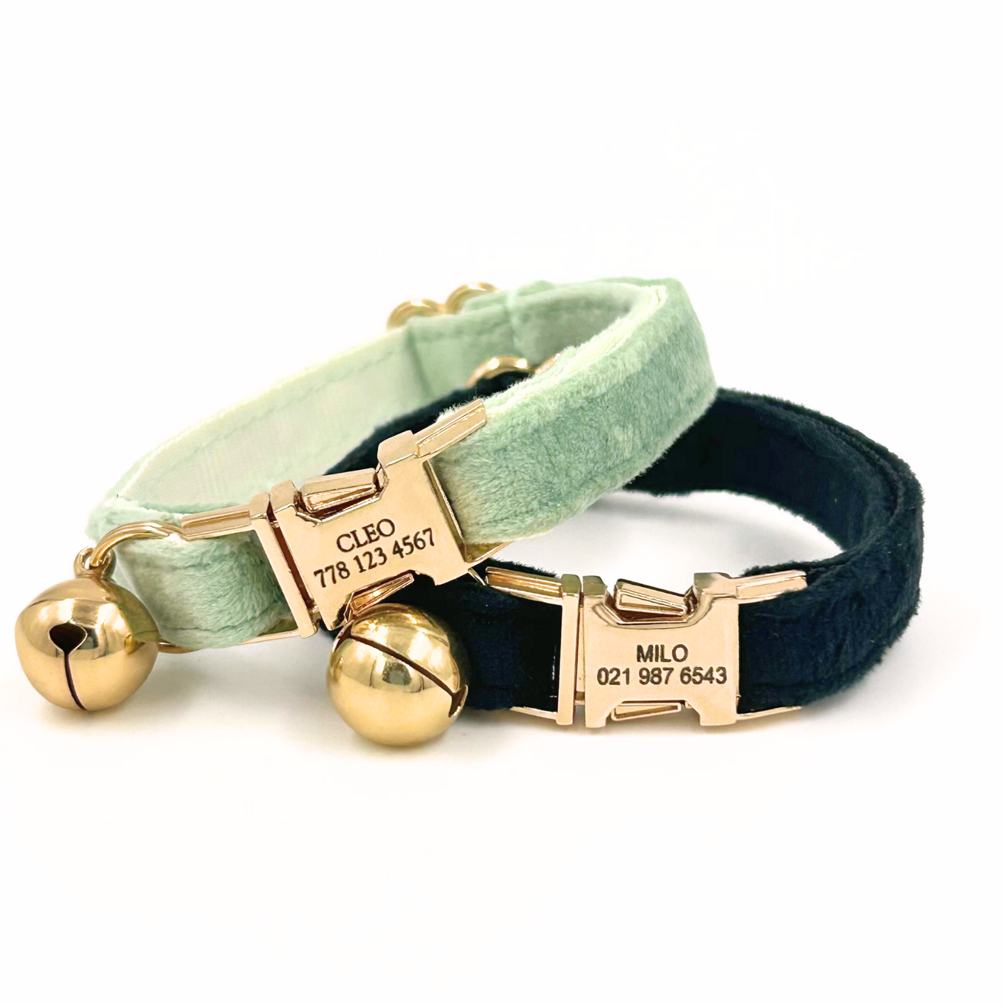 Personalised velvet cat collar - sage green colour with a gold buckle and bell. Add personalised engraving on the buckle.