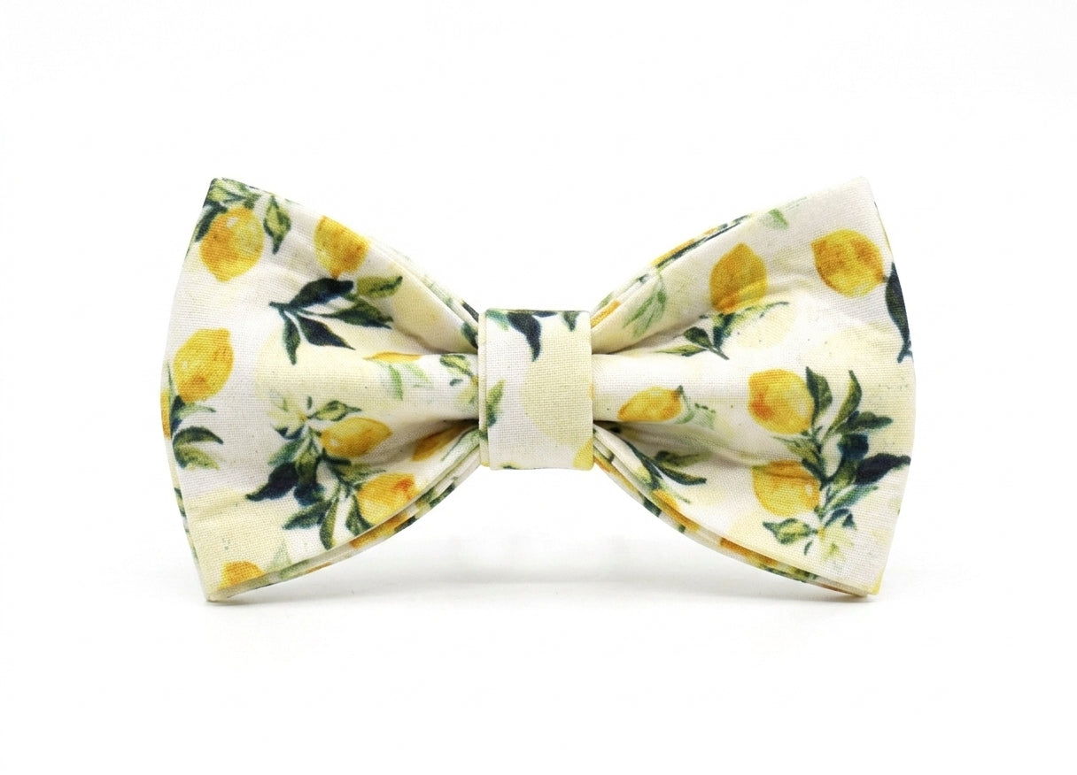 Lemon Bow Tie