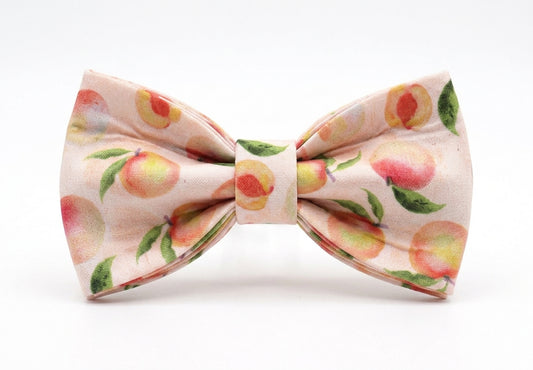 Honey Peach Bow Tie