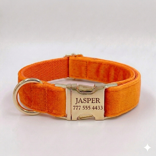 Orange Velvet Dog Collar | Personalised