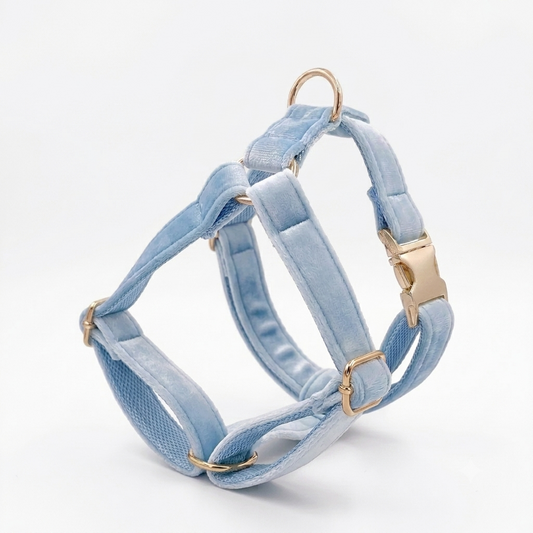 Light Blue Velvet Dog Harness | Customisable