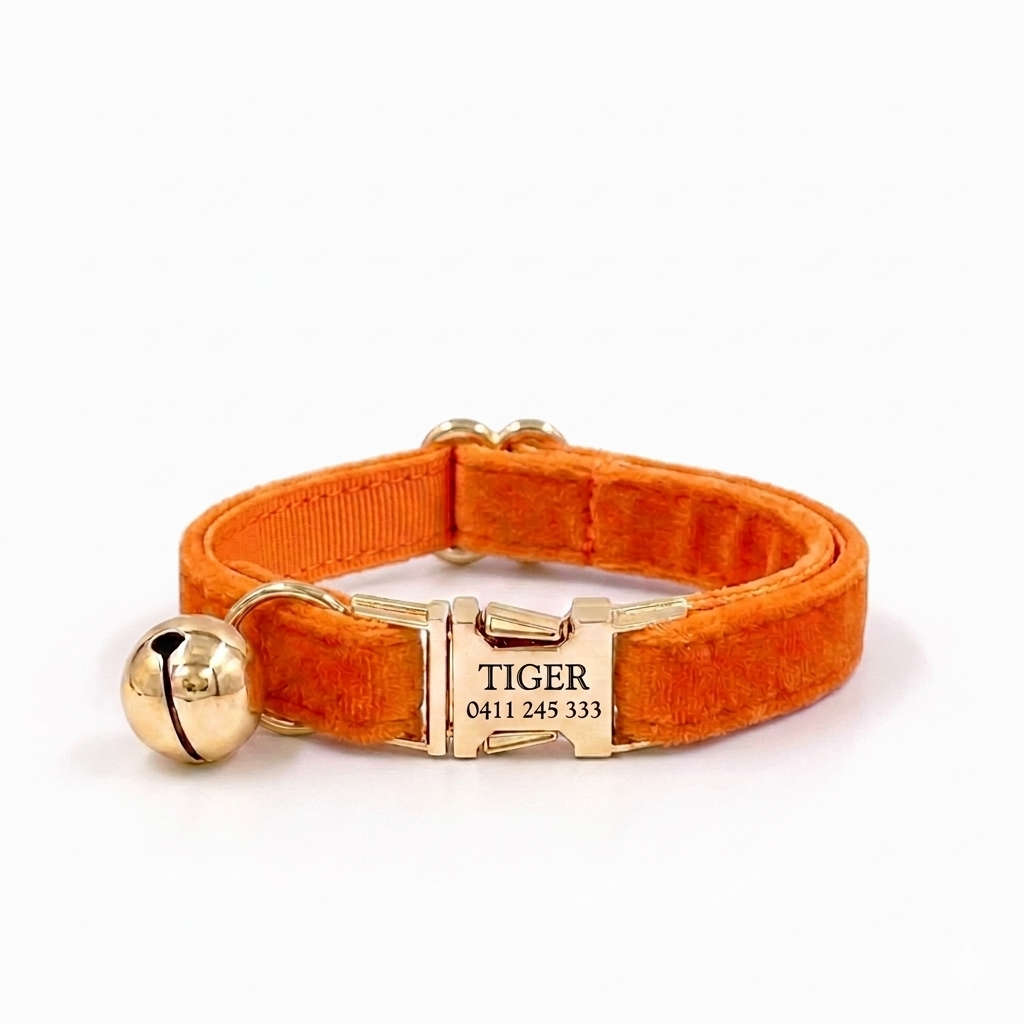 Orange Velvet Cat Collar | Personalised
