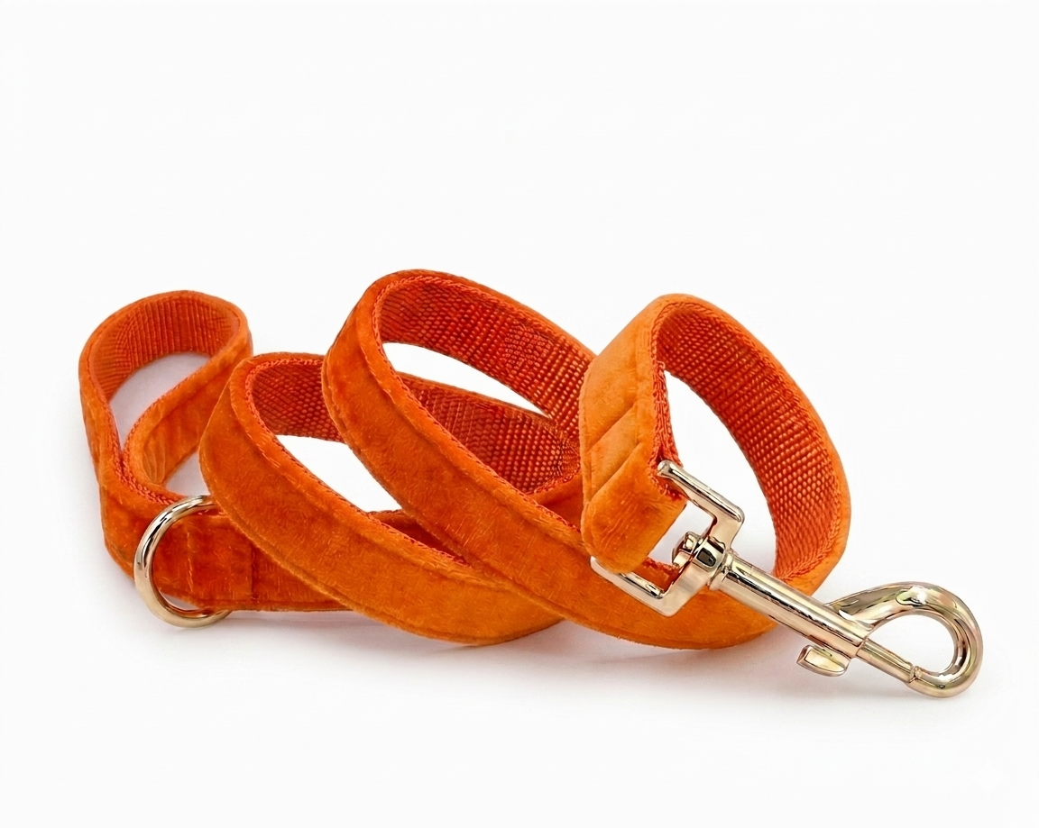 Orange Velvet Dog Leash | Customisable