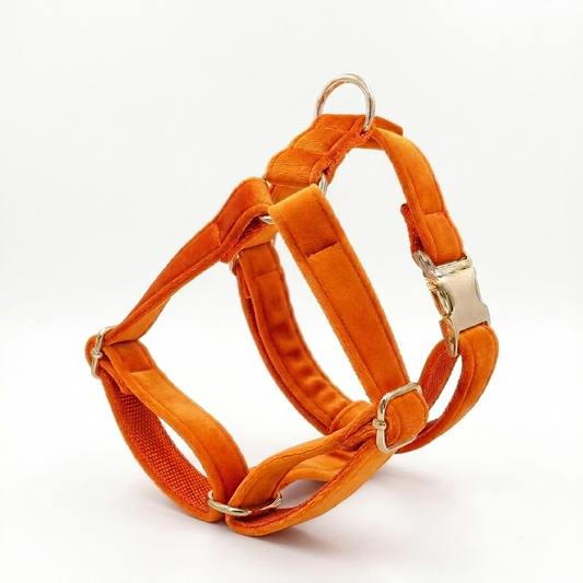 Orange Velvet Dog Harness | Customisable