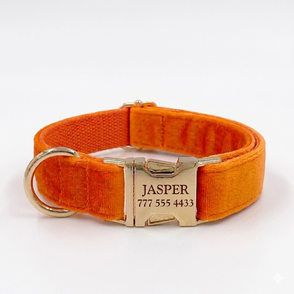 Orange Velvet Dog Collar | Personalised