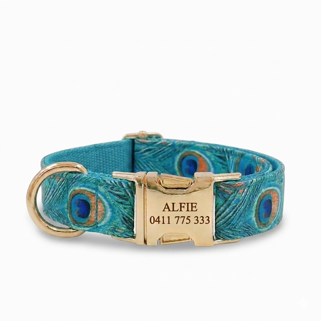 Peacock Dog Collar | Personalised