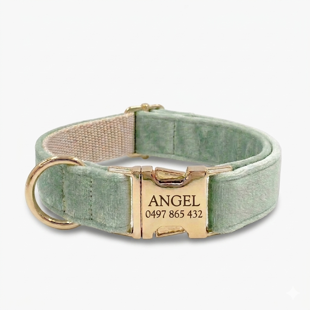 Sage Green Velvet Dog Collar | Personalised