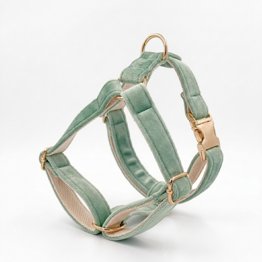 Sage Green Velvet Dog Harness | Customisable