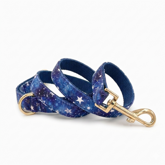 Star Dog Leash | Customisable