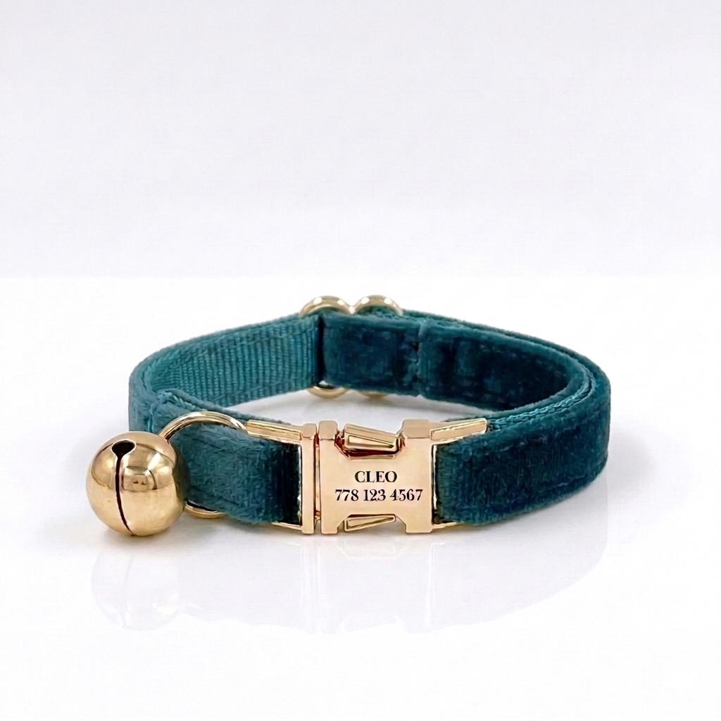 Teal Velvet Cat Collar | Personalised