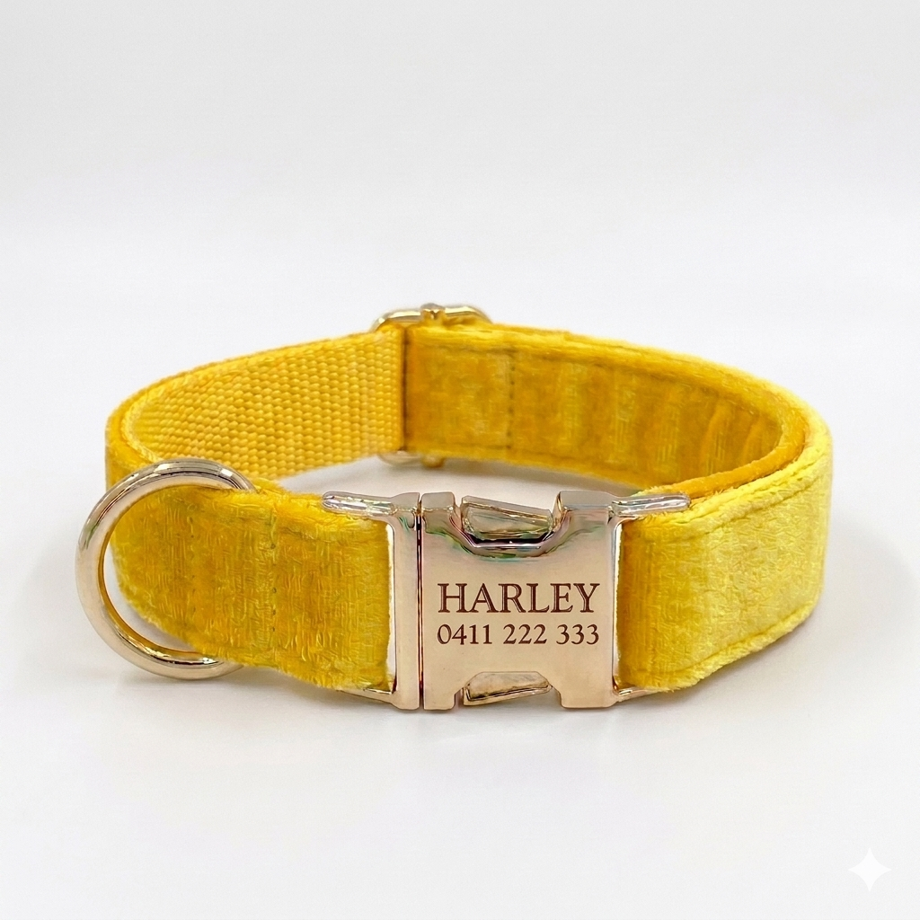Yellow Velvet Dog Collar | Personalised